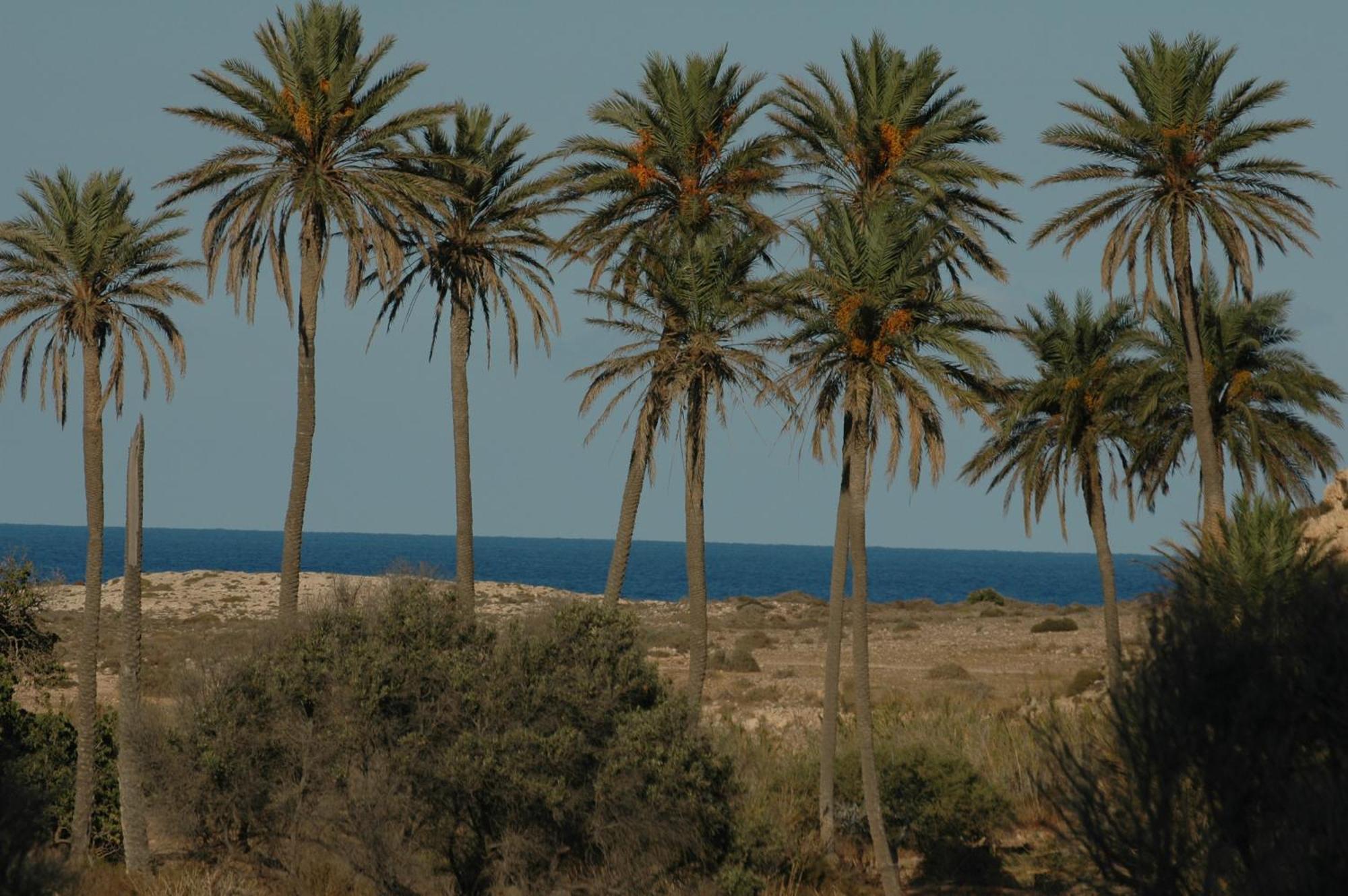 Complejo La Ermita Hotel Rodalquilar Kültér fotó