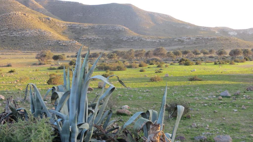 Complejo La Ermita Hotel Rodalquilar Kültér fotó